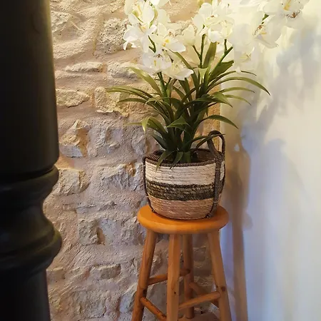 Tatil Evi Mas Je Te Promets 1